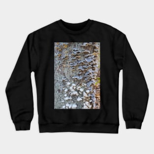 Turkey Tails and Falsies Crewneck Sweatshirt